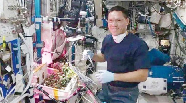 Domatesi astronot yememiş