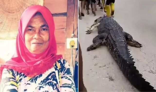 Endonezya'da dev timsah, nehir kenarında bulaşık yıkayan yaşlı kadını öldürdü